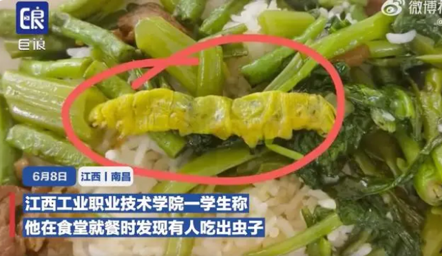 国内第三方助孕机构（学生食堂吃出虫子）在学校食堂吃出虫子教育部门管吗，