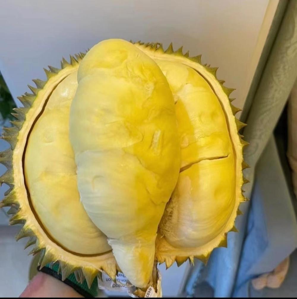 1000