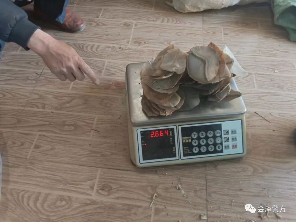 会泽乡街上，一男子当街售卖国家一级保护动物穿山甲鳞片被刑拘！