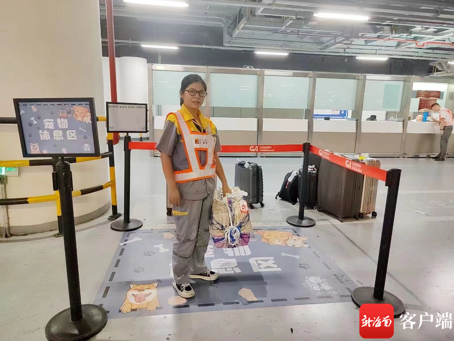 海南航空寵物托運服務實現全程“可”