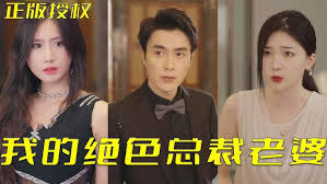 我的绝色总裁老婆