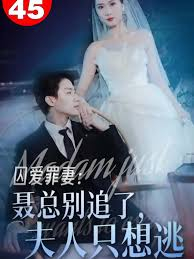 囚爱罪妻聂总别追了夫人只想逃