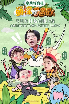 萌探奇遇记（加更版）