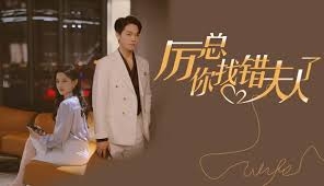 厉总你找错夫人了