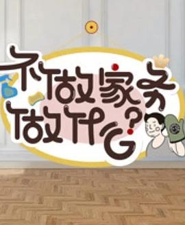 不做家务做什么第二季