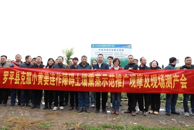 [南方生姜网-图片加载]
