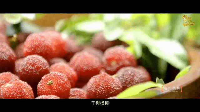 湖南最好吃的夏日水果,都在这里