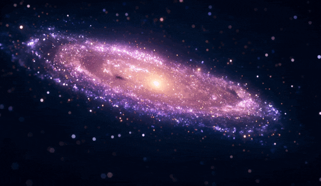 640_371gif 动态图 动图