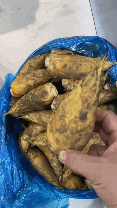 当前,杭州蔬菜市场冬笋的批发价格在7.