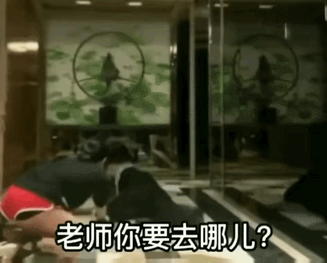 ��������:��S�Ѿ�����9������ �������� �߿��������չ�С�ĺǻ�������