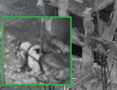 �ڿ�������Ҳ�����������ˡ�