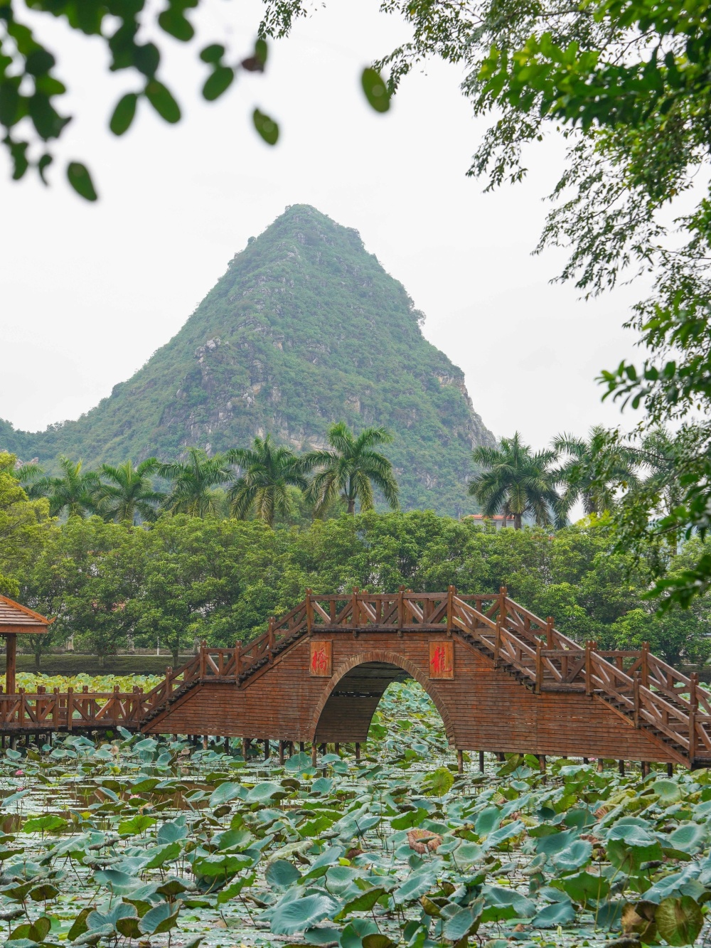 封开龙山景区旅游攻略图片