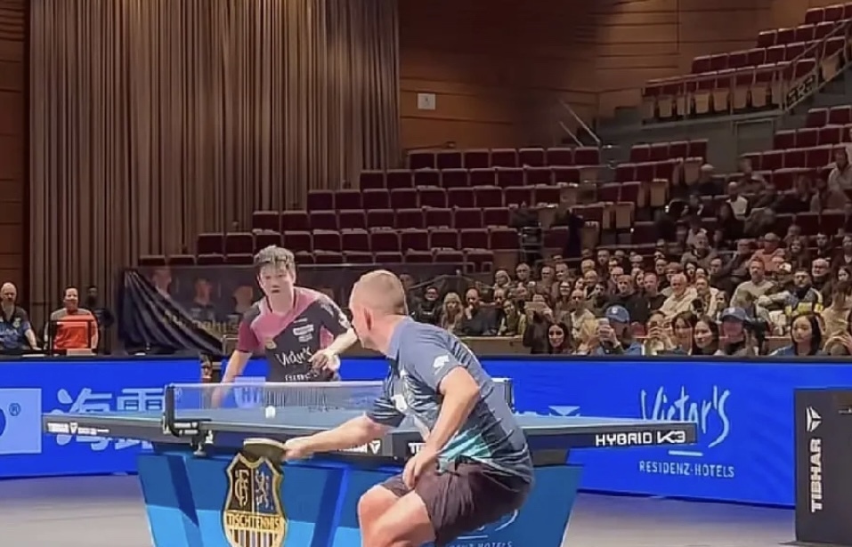 樊振東歐冠比賽空座太多？真相來了！記者：內場VIP都是中國球迷 - 