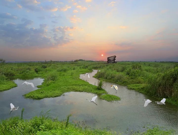 位于泗洪县境内的洪泽湖湿地景区,占地面积5