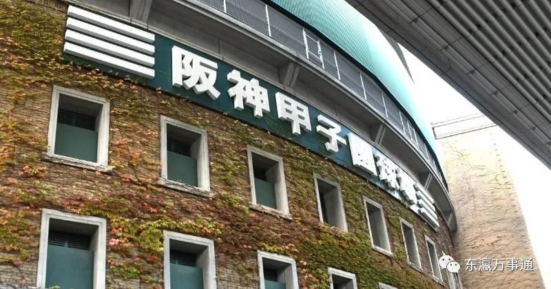 守望甲子园:见证青春模样感动激情力量