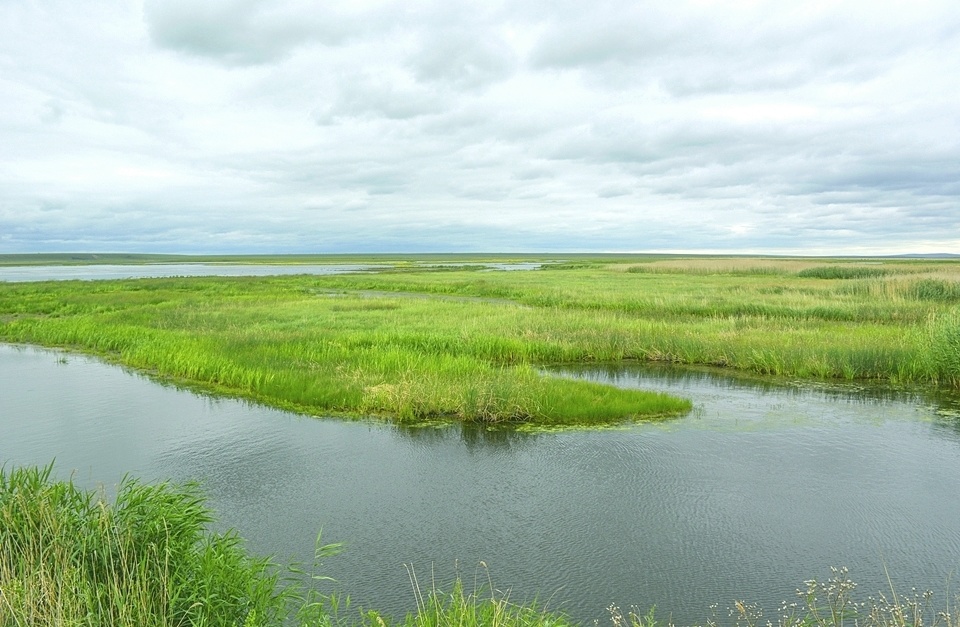 辉河湿地自然保护区始建于1997年,2002年晋升为国家级自然保护区,2006
