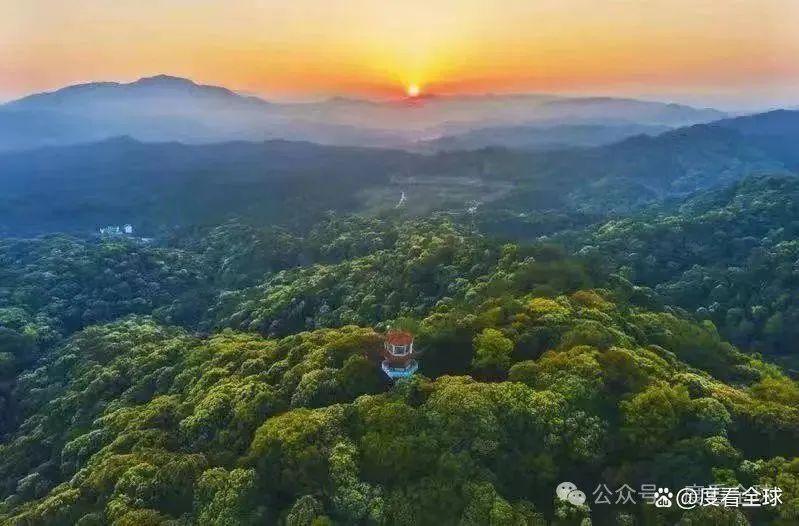 三明市旅游必去景点,三明旅游攻略大放送:玩转福建,不留遗憾!