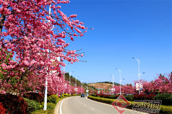 曲靖马龙区:扎实推进健康县城建设,共建共享城市"新生活"_腾讯新闻