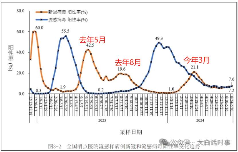 房间里的大象