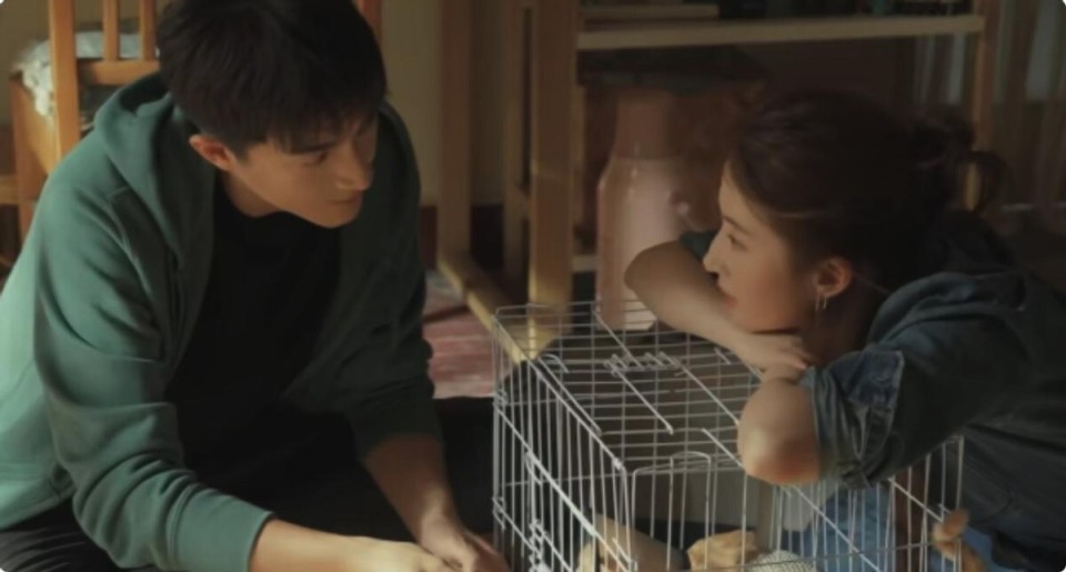 一部《与凤行》让林更新再度翻红,虽然林更新的私人感情背刺cp粉,但不