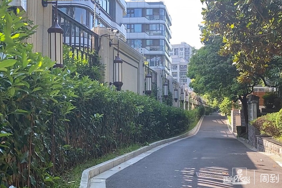 老叶较真丨给"东苑"建小区提供方便协助后,闵行"奥玎别墅"被拆的围墙