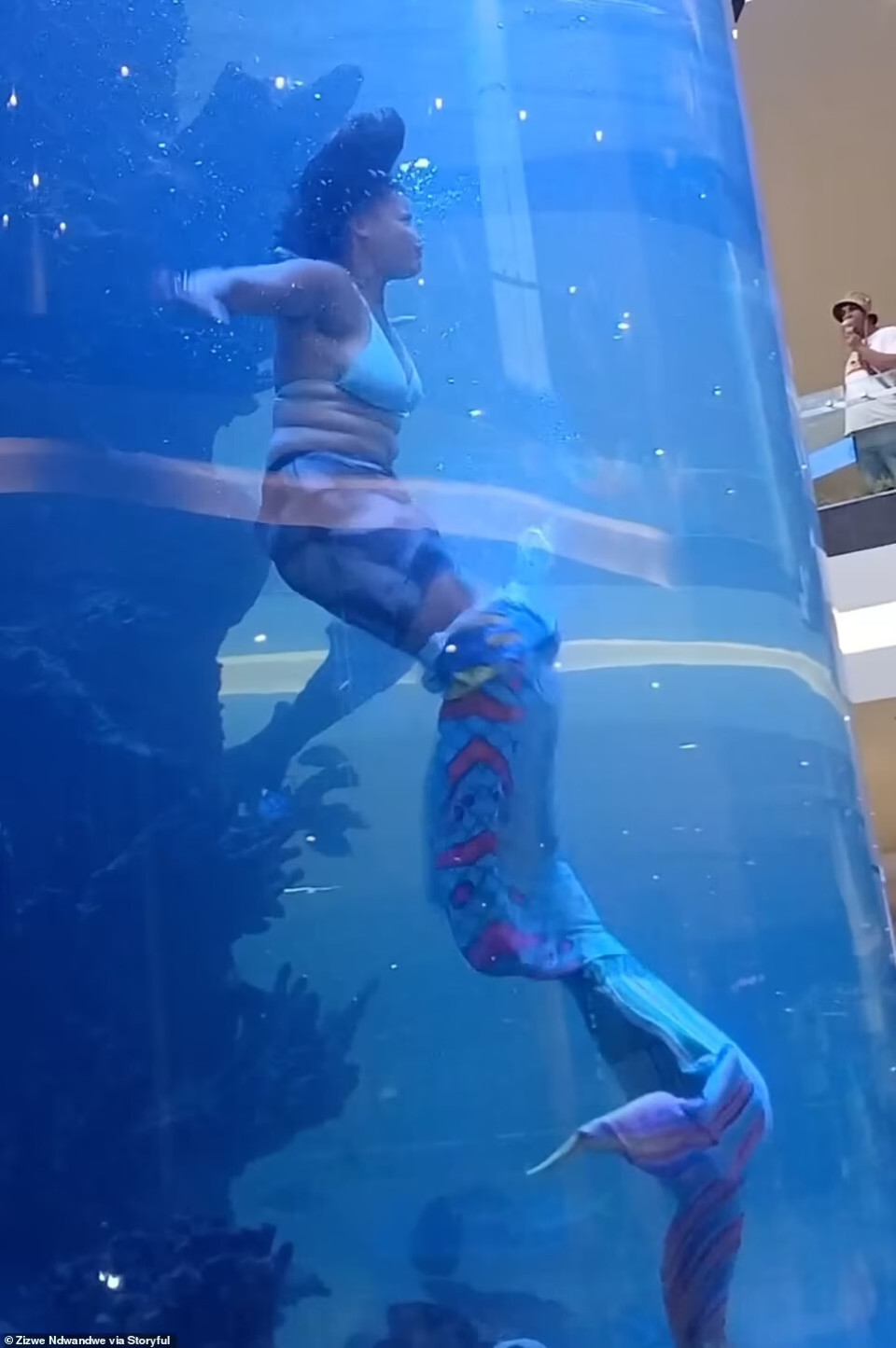 美人鱼表演尾鳍却被礁石卡住她断尾求生成功逃脱