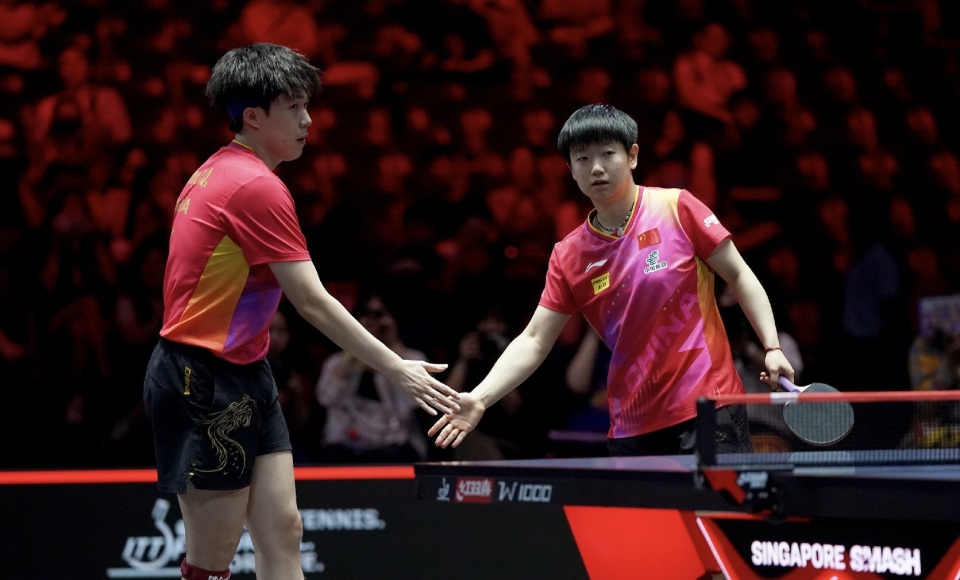 樊振东压力来了需力保奥运种子前二王曼昱领先陈梦1个身位