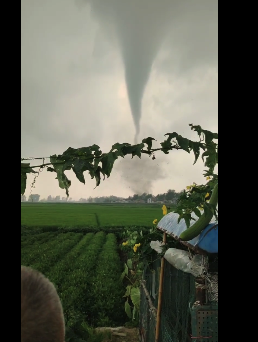 江苏盐城突然龙吸水，专家鉴定为中等龙卷风！分析：最大风力15级-腾讯新闻