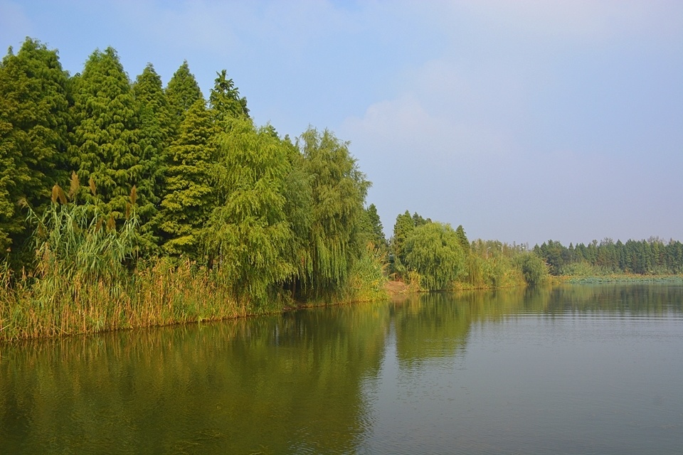 溱湖国家湿地公园图片图片