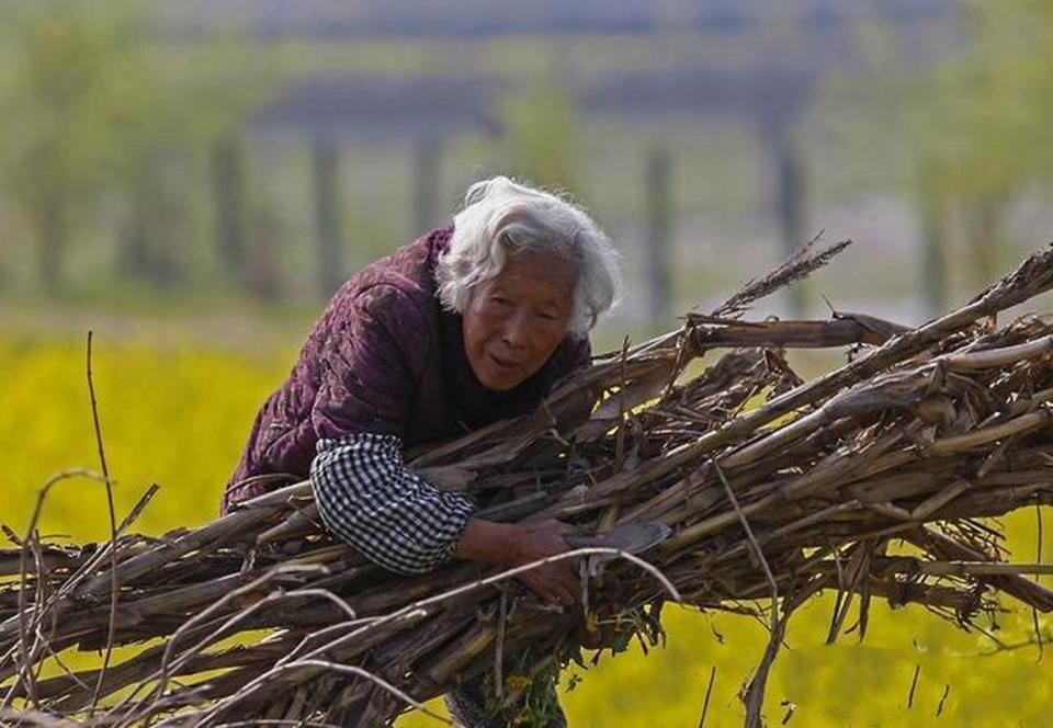 农村老人体面离世成奢望,在无人照管的孤独中或在子女的嫌弃中死去?
