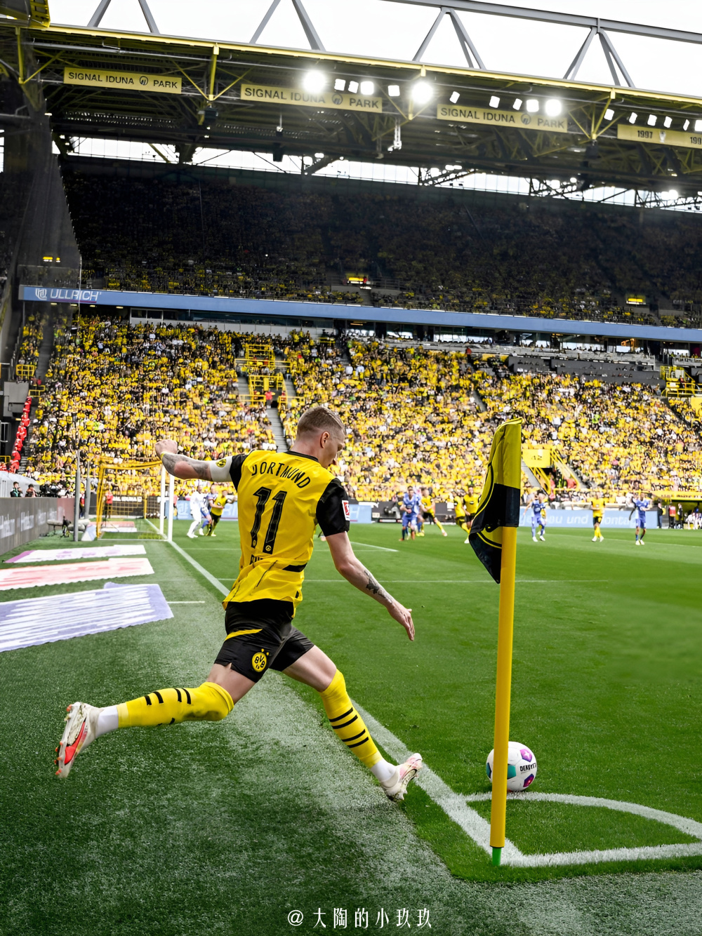 罗伊斯,威斯特法伦球场永远的传奇