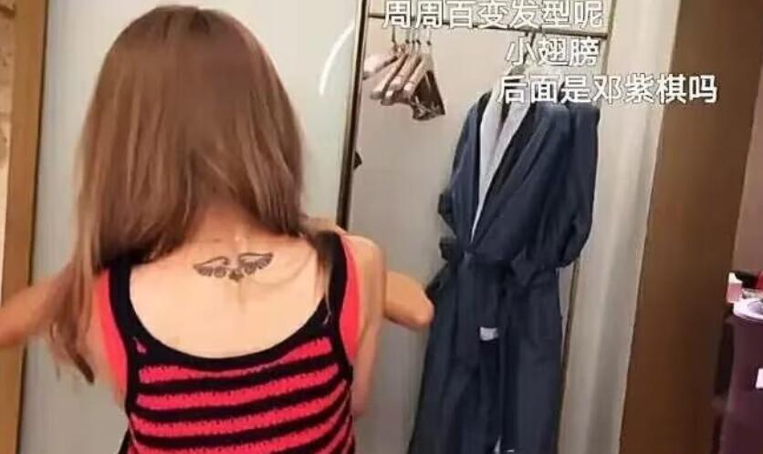 周淑怡直播露出后背纹身,身上一共有4处,尴尬的位置已经手术洗干净了