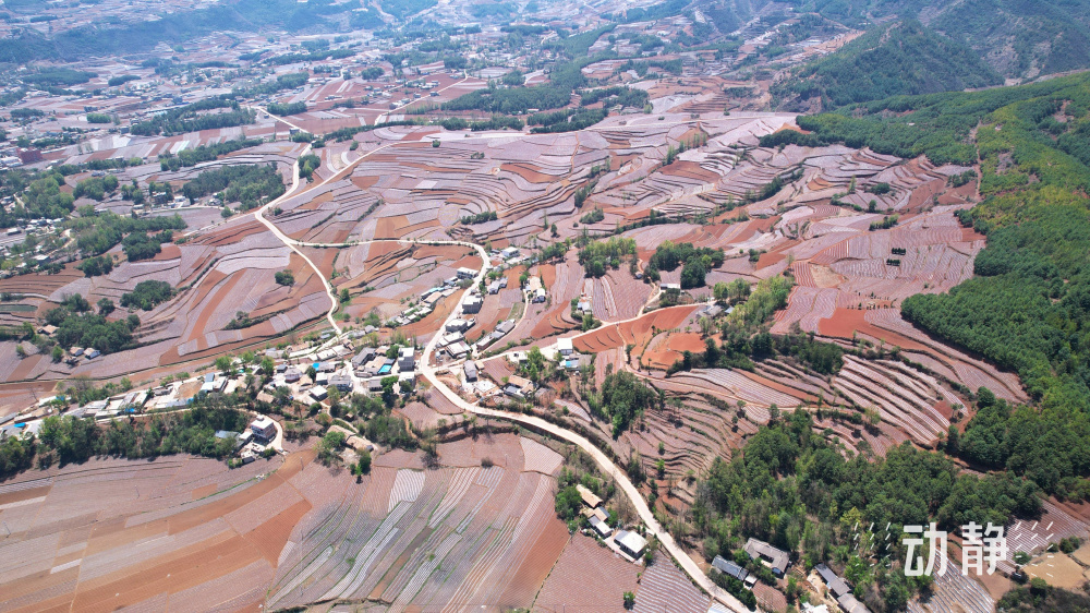 贵州威宁:田垄披"银装" 田园美如画_腾讯新闻