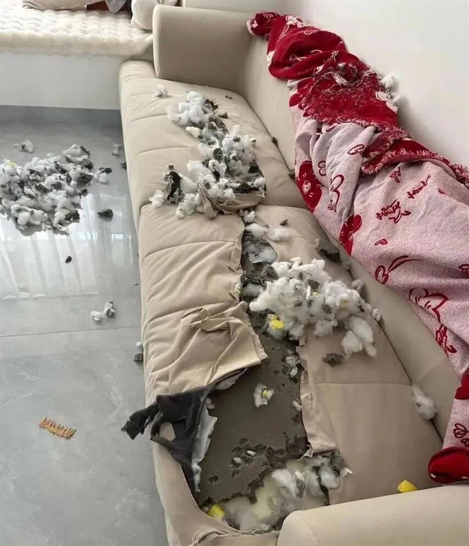 为啥普通人家的房子宁空不租，房东说：空着，比租出去还省钱_腾讯新闻