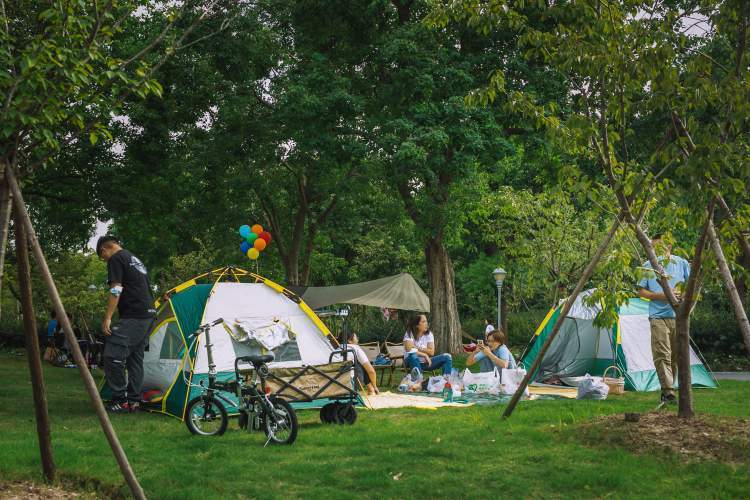 周末公园帐篷太密?世博文化公园:10平方米一顶,上限720顶!