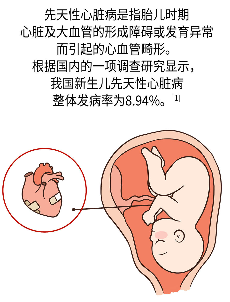 小儿心浊音界图片