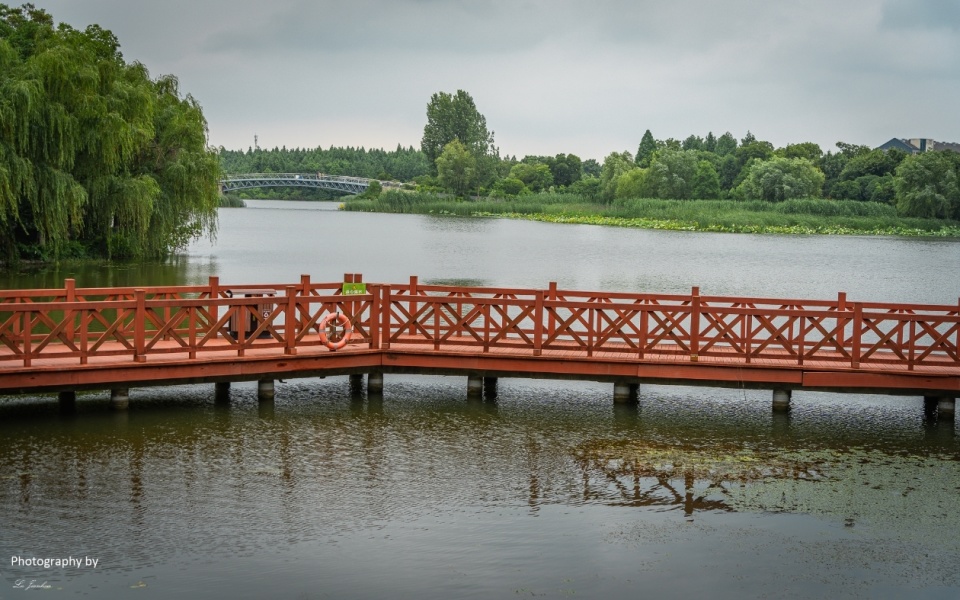 夏日游镇江金山湖