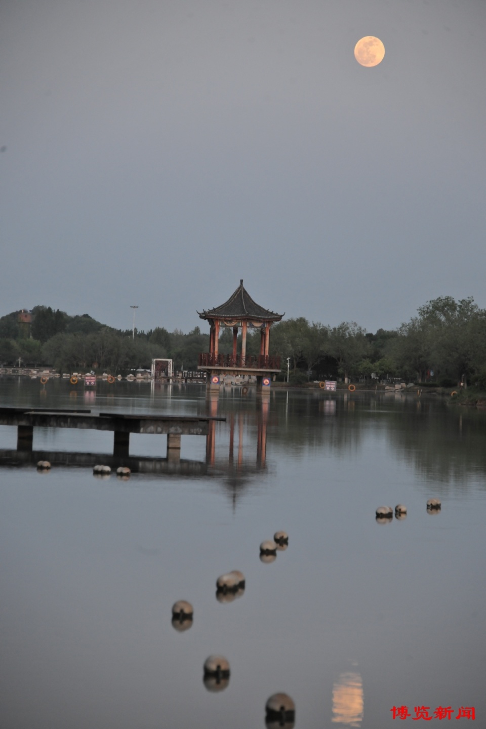 4月23日,春雨后的桓台红莲湖,莲花绽放,景色如画记者 史章