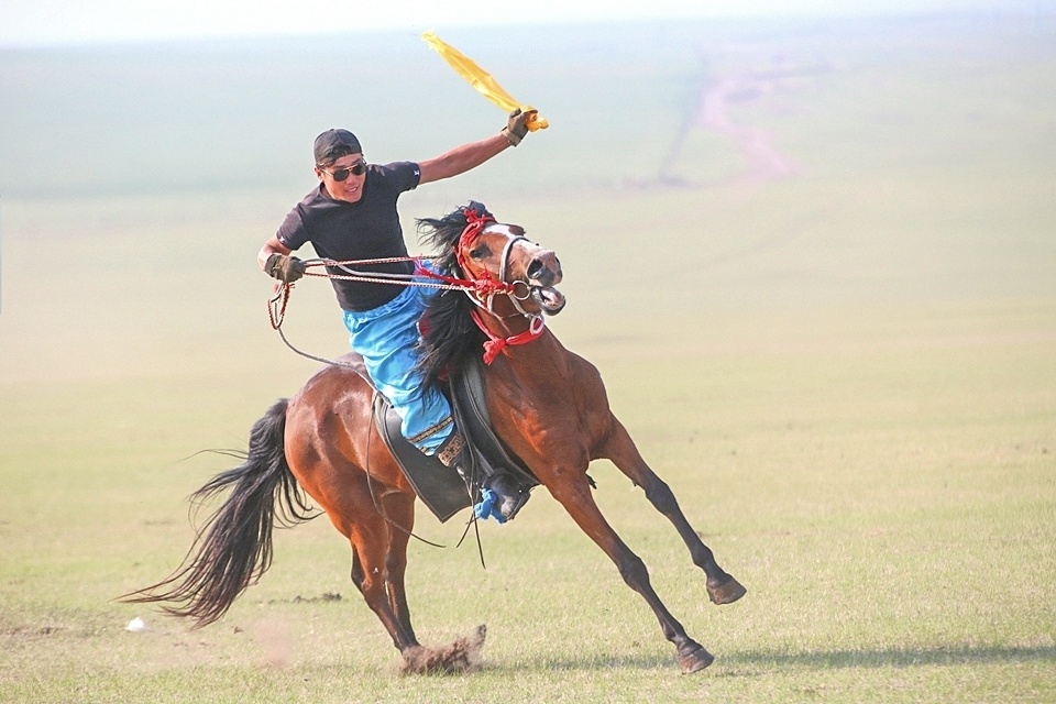 行摄大草原:马术绝技