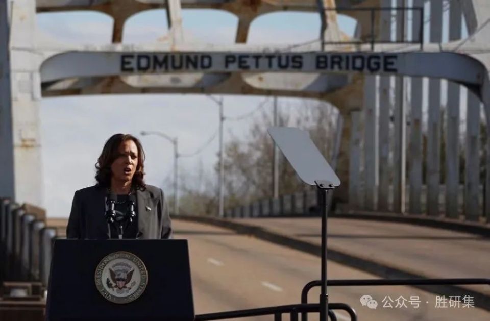 美副总统哈里斯立刻停火以色列高级将领集体辞职