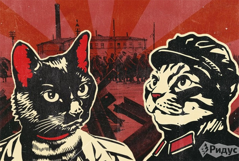 1943年全苏联的猫急援列宁格勒：城内仅活下一只猫，却冒出百万老鼠_腾讯新闻
