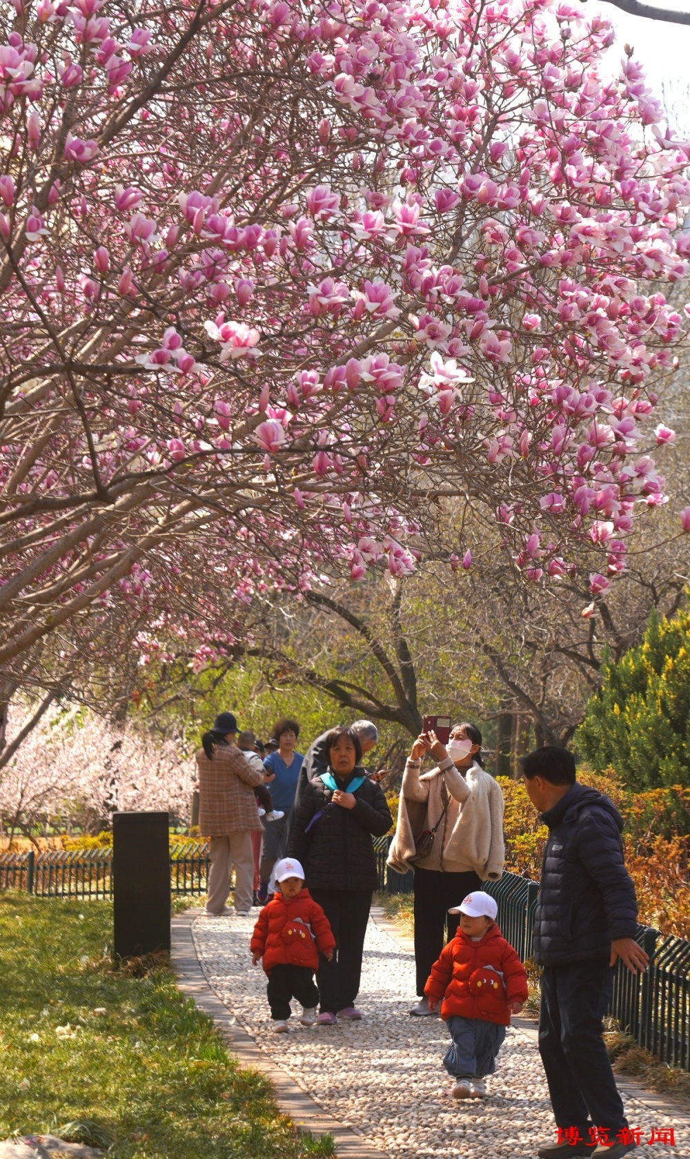 博览组图淄博春景美如画
