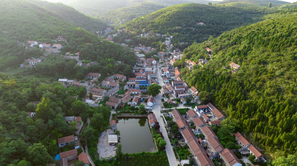 博山响泉村寻古,不只有流苏五月晴雪,还有长成北斗七星的古槐_腾讯