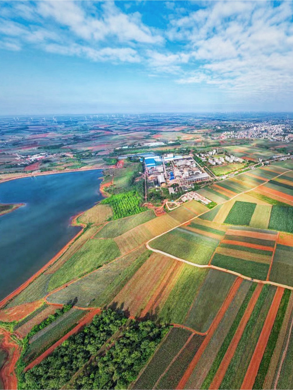航拍视角下的菠萝的海位于湛江徐闻一年四季色彩斑斓