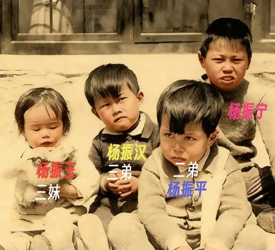 杨武之与妻子吵架，杨振宁保护母亲怒吼父亲，弟弟杨振平称赞哥哥_腾讯新闻