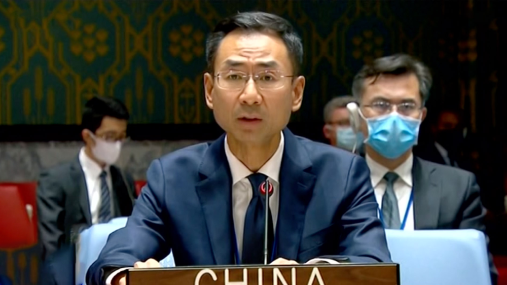 中国大使发言