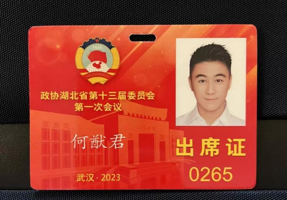 何猷君当选湖北政协委员他在当地有投资仍被质疑花钱买官