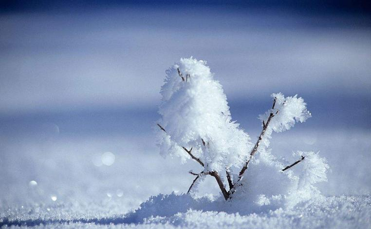 下雪的照片 天空图片