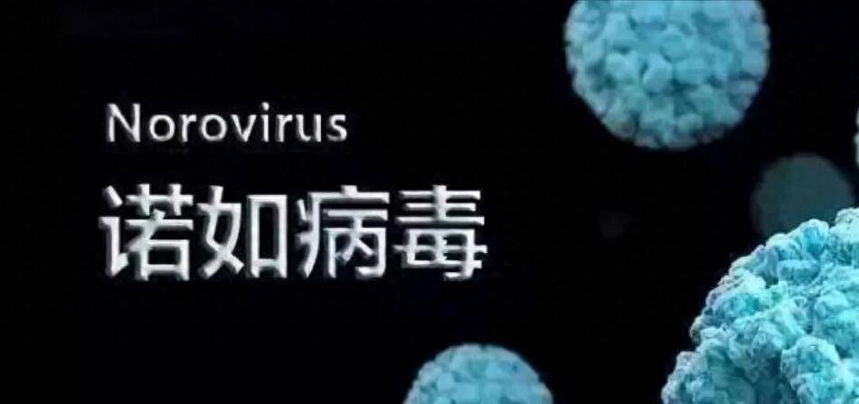又到了诺如病毒高发期，儿童感染后做好5点，远离4个传播途径！_腾讯新闻