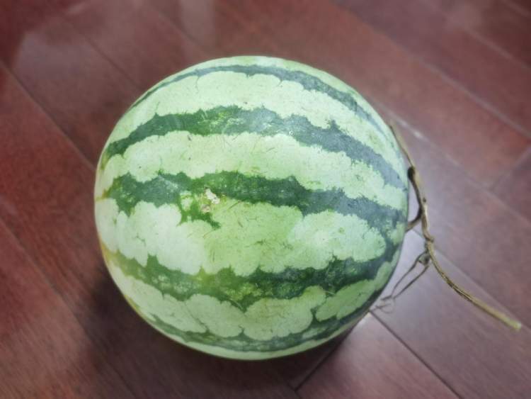 暑热刚启,西瓜吃爽